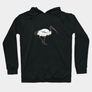 Australian White Ibis Hoodie